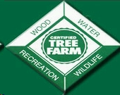 Treefarm